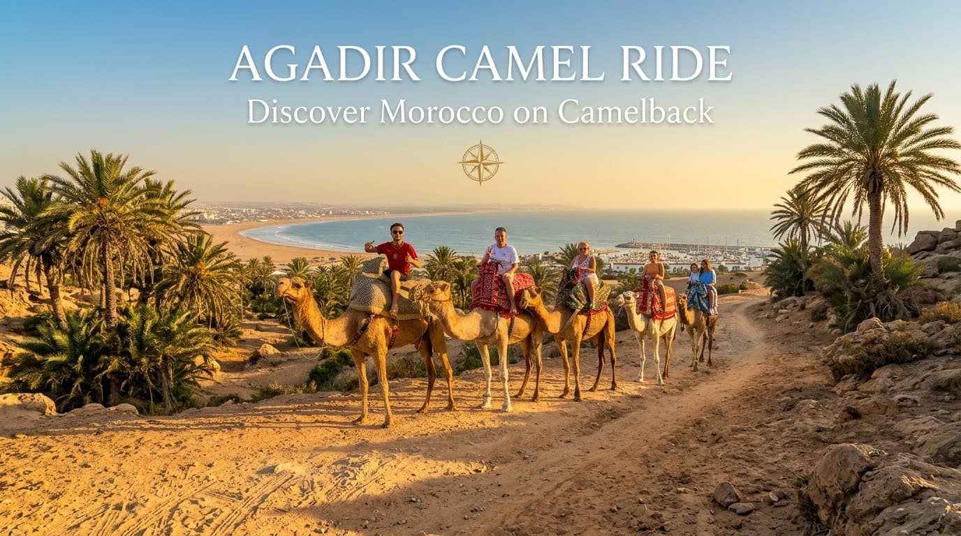 Paseo en camello al atardecer